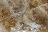 Rutilated Smoky Quartz Crystal - Brazil #173000-2